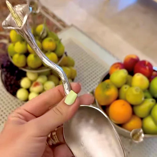 قاشق آجیل شیپوری